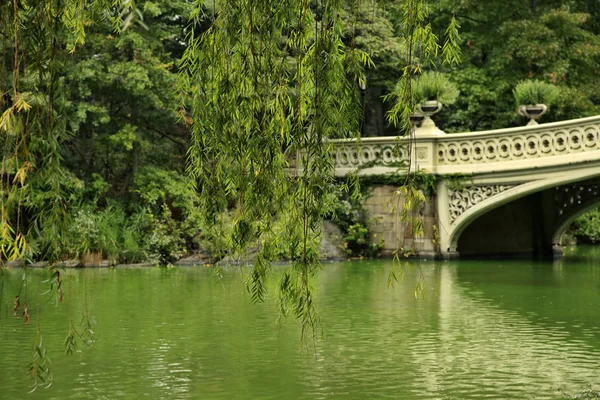 Central Park in New York — Stock Photo, Image