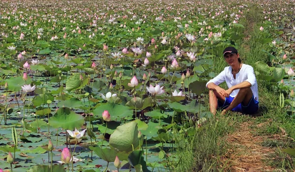 Un hombre adulto se sienta en un campo de loto, Camboya —  Fotos de Stock