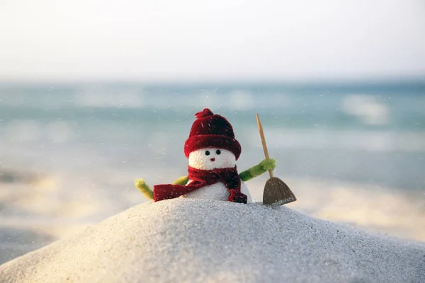 Boneco de neve — Fotografia de Stock