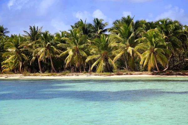 Saona ø strand - Stock-foto