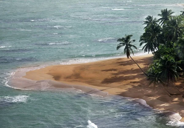 Saona ilha praia — Fotografia de Stock