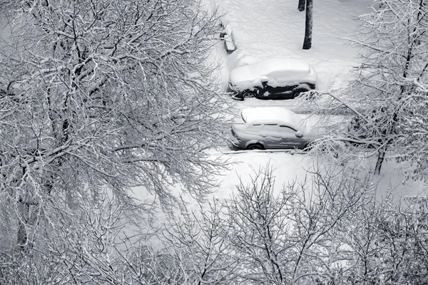 Ramas de invierno y coche cubierto de nieve — Foto de Stock