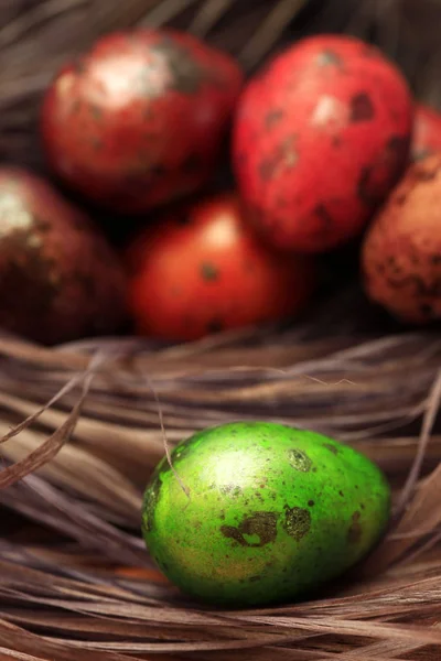 Uovo di Pasqua maculato colorato da vicino — Foto Stock