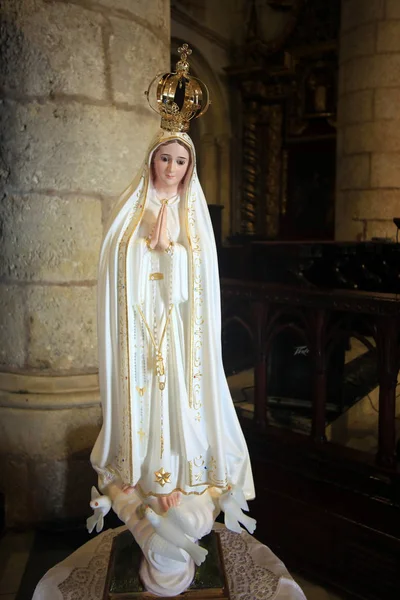 Standbeeld van de Maagd Maria in de oude kathedraal van Santo Domingo — Stockfoto