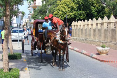 Santo Domingo sokaklarda görülen bir atlı arabası
