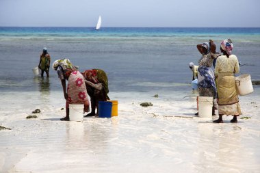 Sahilde geleneksel elbiseli Afrikalı kadınlar