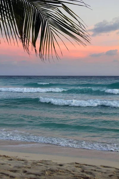 Tropisch strand — Stockfoto