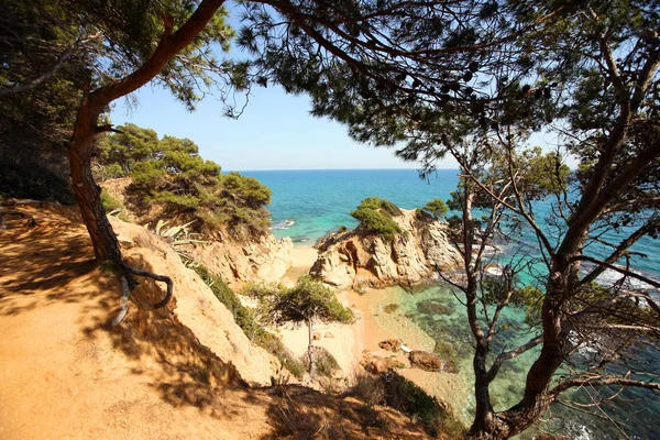 Typisk costa brava landskap — Stockfoto