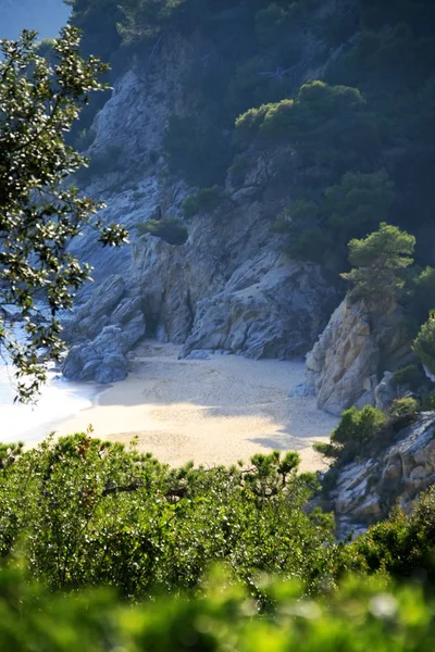 Typische costa brava landschaft — Stockfoto