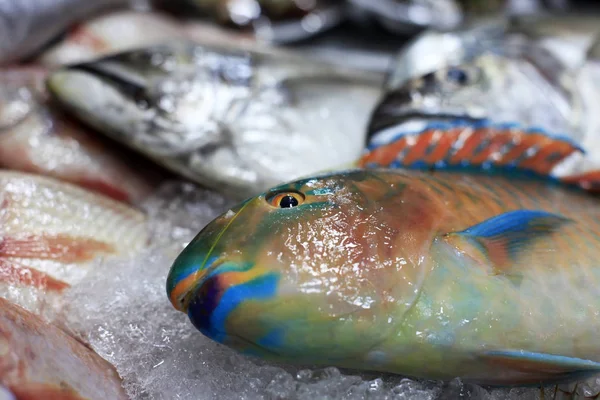 Frischer Fisch in Eis auf dem Markt — Stockfoto