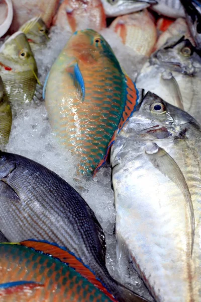 Poisson frais dans la glace sur le marché — Photo