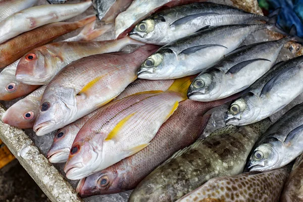 Frischer Fisch in Eis auf dem Markt — Stockfoto