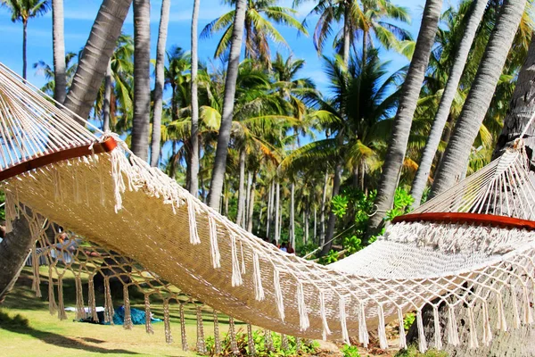 Hammock between two palm trees on the beach — Stock Photo, Image