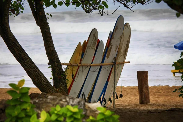 Mucchio Tavole Surf Una Giornata Sole Bali — Foto Stock