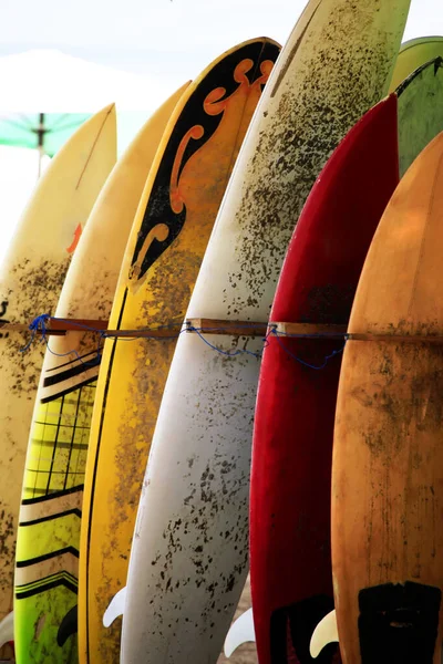 Bunch Surfing Boards Sunny Day Bali — Stock Photo, Image