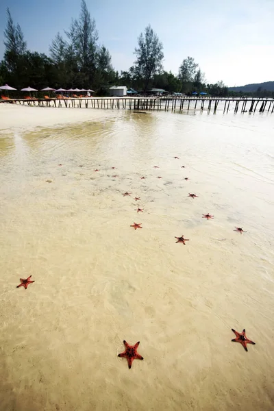 Summer Beach Starfish Και Τροπική Θάλασσα Φόντο Στο Βιετνάμ Κουόκ — Φωτογραφία Αρχείου