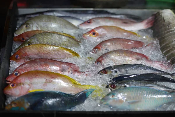 Frischer Fisch Eis Auf Dem Markt — Stockfoto