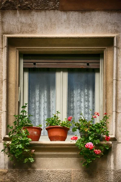 Ventana Decorada Con Flores Frescas Macetas Spai —  Fotos de Stock