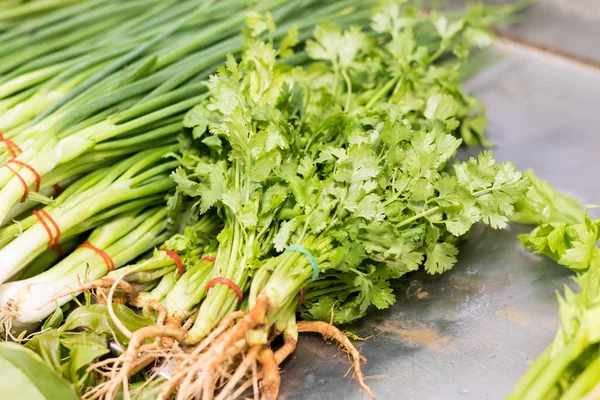 taze soğan ve kişniş.