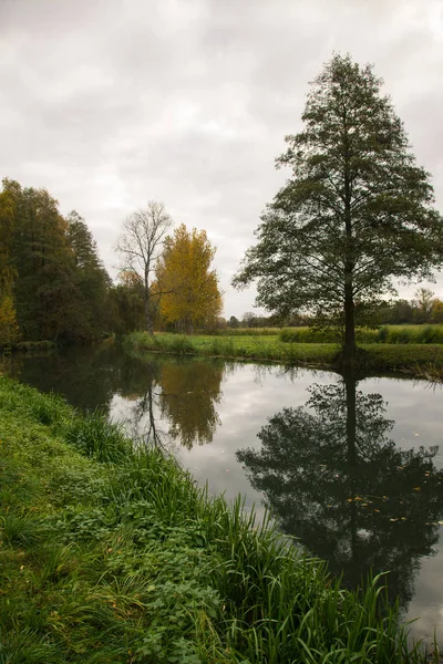 bir nehir üzerinde Spreewald manzara