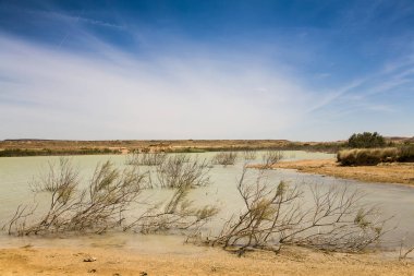 desertscape Bardenas Reales