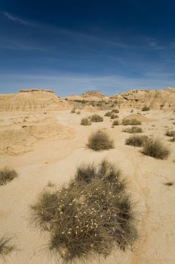 desertscape Bardenas Reales