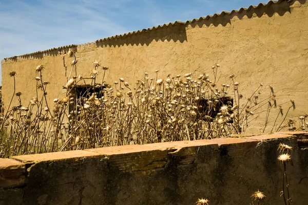 desertscape Bardenas Reales