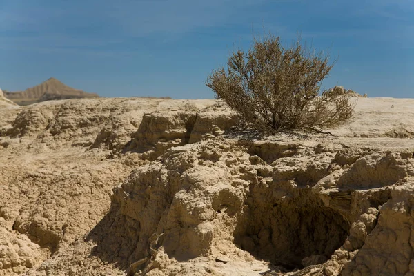 desertscape Bardenas Reales