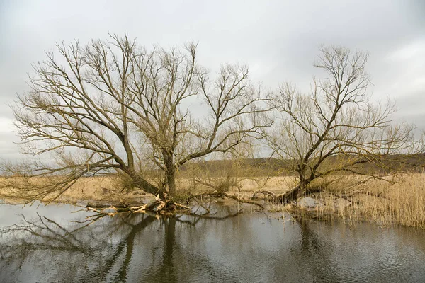 Paysage fluvial avec inondation Image En Vente