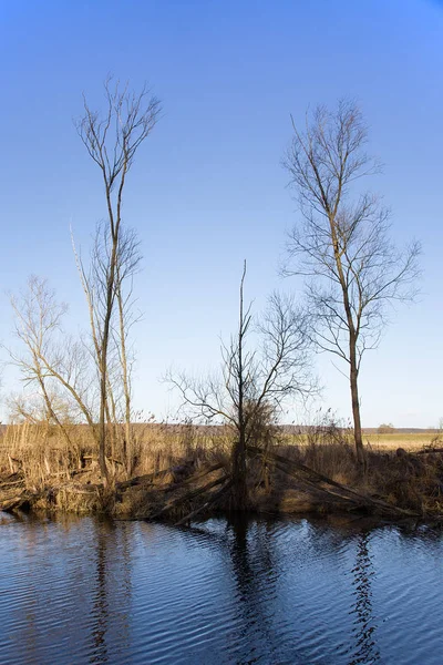 Paysage fluvial avec inondation Photos De Stock Libres De Droits