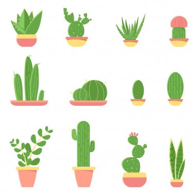 Kaktüsler ve succulents tencere düz vektör çizimi. Beyaz arka plan üzerinde izole kaktüs kümesi.