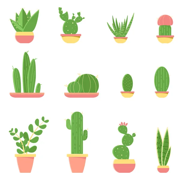 Ilustración vectorial plana de cactus y suculentas en macetas. Conjunto de cactus aislados sobre fondo blanco . — Vector de stock