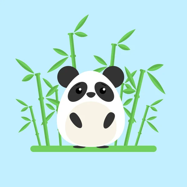 Cute baby panda standing between the bamboo on blue background