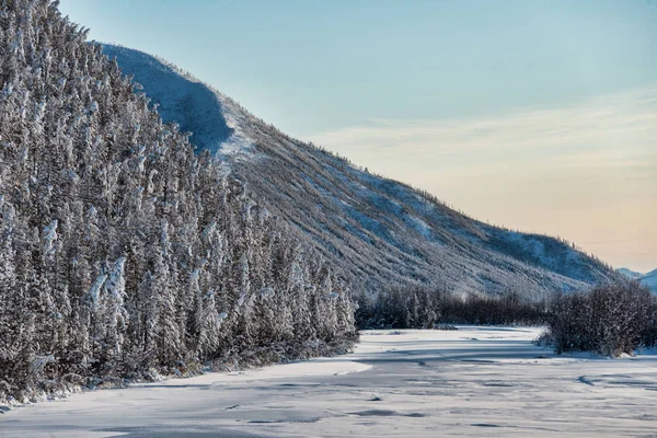 Kışın nehir Indigirka