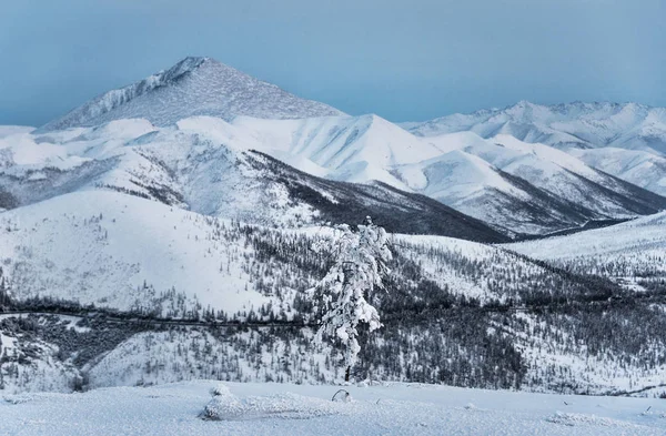 Olchansky pass dağlardan görünümünü