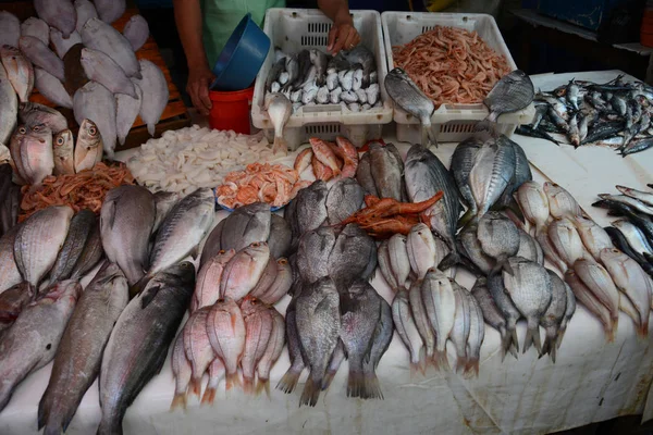 Διαφορετικές ποικιλίες φρέσκων ψαριών στον πάγκο της ιχθυοαγοράς του Μαρακές Φωτογραφία Αρχείου