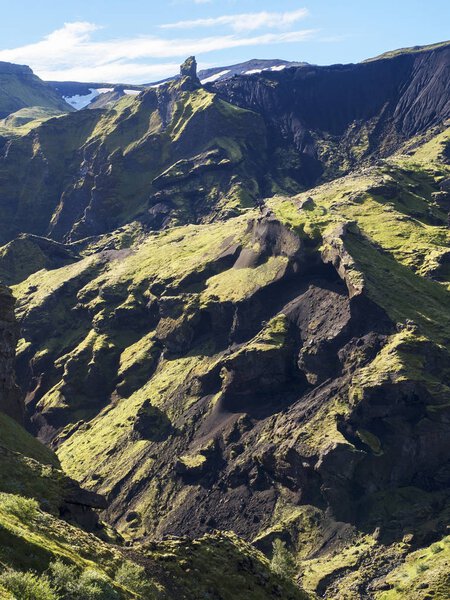 Gorge overgrown with bright green moss in the mountains of Iceland