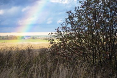 Rainbow on the background of an autumn rural landscape, Russia clipart