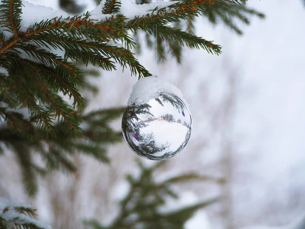 Λευκά Χριστούγεννα μπάλα σε ένα δέντρο δρόμο κάτω από το χιόνι — Φωτογραφία Αρχείου