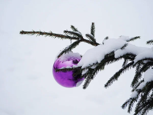 Kar altında sokak ağaç üzerindeki mor Noel top
