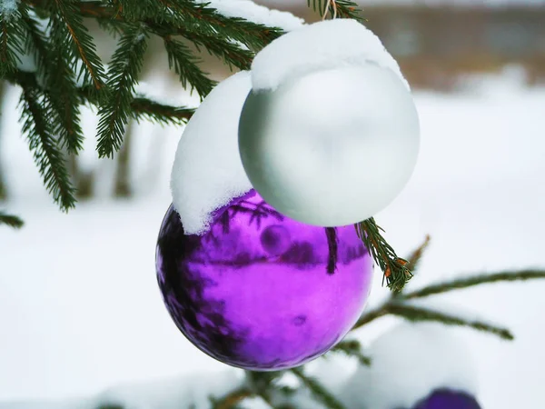 Kar altında sokak ağaç üzerindeki mor ve beyaz Noel topları
