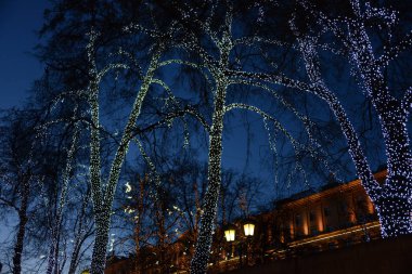 Moskova sokakta ağaçlar, yeni yıl çelenk ile dekore