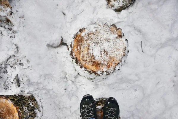 Πόδια σε ένα ξύλινο ασφυκτικά στο χειμερινό δάσος Royalty Free Εικόνες Αρχείου