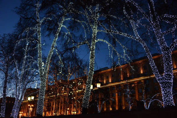 Δέντρα στο δρόμο της Μόσχας, διακοσμημένο με γιρλάντες Πρωτοχρονιάς Φωτογραφία Αρχείου