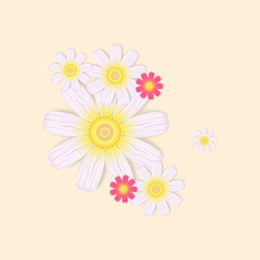 Renk hassas kompozisyonlar.