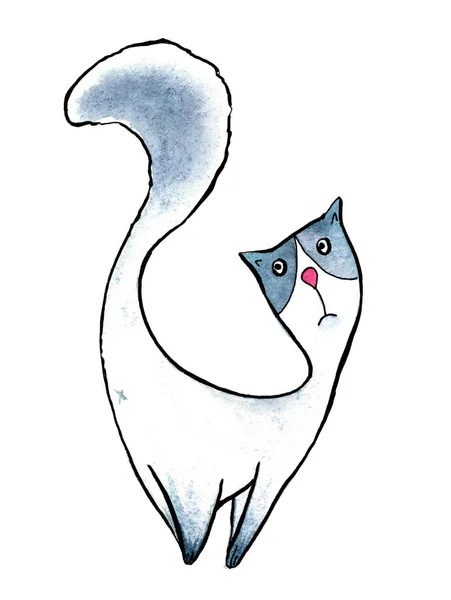 Akvarell büszke macska a fehér háttér. Akvarell grafika szövet, képeslap, üdvözlőlap, könyv, plakát, póló-Shirt. Illusztráció, elkülönítés objektumok — Stock Fotó