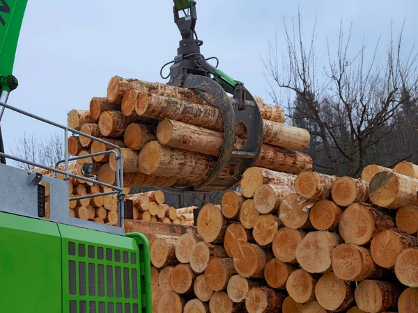 Yeşil günlük yükleyici makine taşıma ve ahşap Ahşap kereste bahçesinde bir yığın yeniden konumlandırma