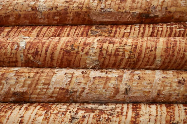 Woodpile ahşap arka plan Ağaç Kereste Sanayi Boyutlanmış debarked çam ahşap günlükleri için hasat
