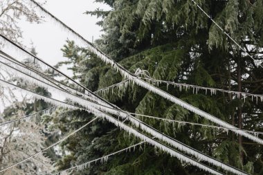 Büyük kar fırtınası Northwest soldan aşağı asılı buz sarkıtları ile buz kalın bir palto altında sarkma havai elektrik telleri.