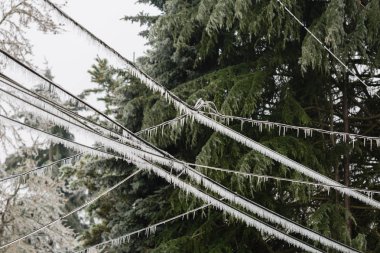 Overhead electrical wires sagging under a thick coat of ice with icicles hanging down left from a big winter storm in the northwest. clipart